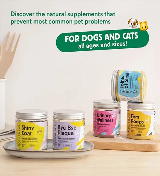 Wild Balance Joints of Steel Supplement for Dogs & Cats 100g