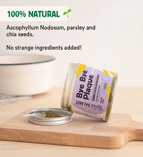 Wild Balance Bye Bye Plaque Supplement for Dogs & Cats 100g