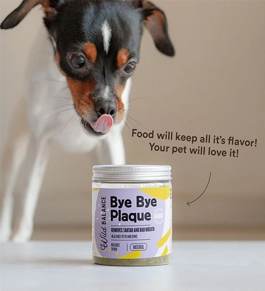 Wild Balance Bye Bye Plaque Supplement for Dogs & Cats 100g