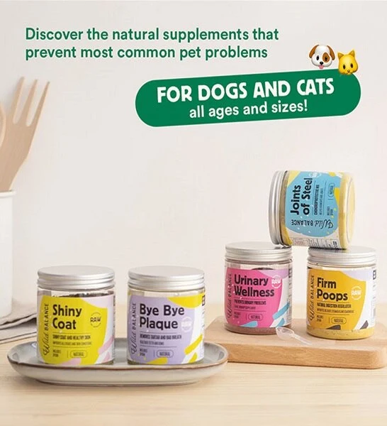 Wild Balance Bye Bye Plaque Supplement for Dogs & Cats 100g