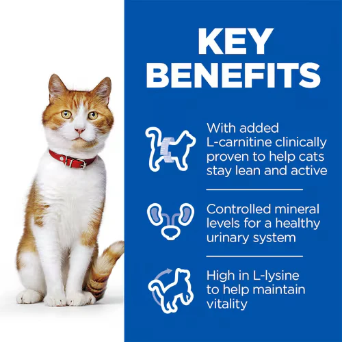 Hill's Science Plan Sterilised Young Adult with Salmon Cat Dry Food 1.5KG
