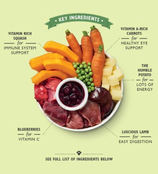 Lily's Kitchen Lamb Hotpot Wet Dog Food