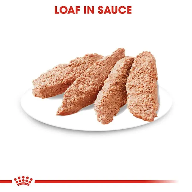 Royal Canin Digestive Care In Loaf Wet Dog Food 85G - Pack of 12