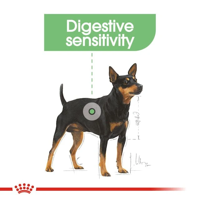 Royal Canin Digestive Care In Loaf Wet Dog Food 85G - Pack of 12
