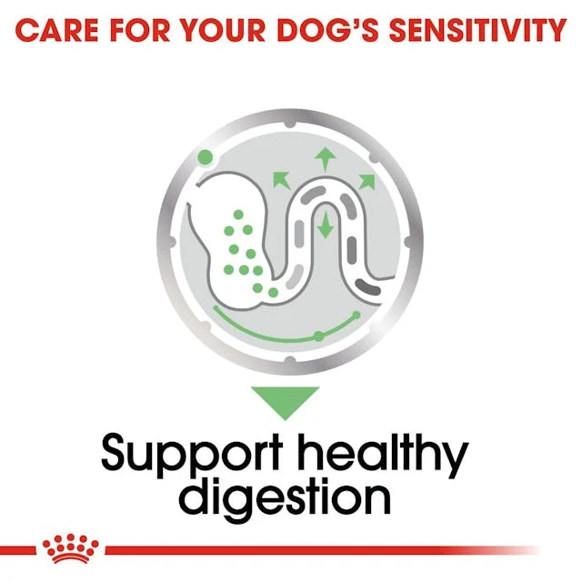 Royal Canin Digestive Care In Loaf Wet Dog Food 85G - Pack of 12