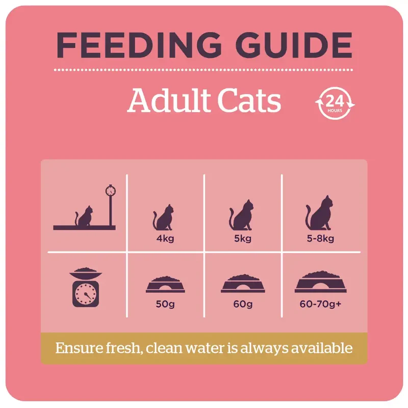 Burgess Rich In Chicken With Duck Adult Cat Dry Food 1.5KG - Pack Of 8