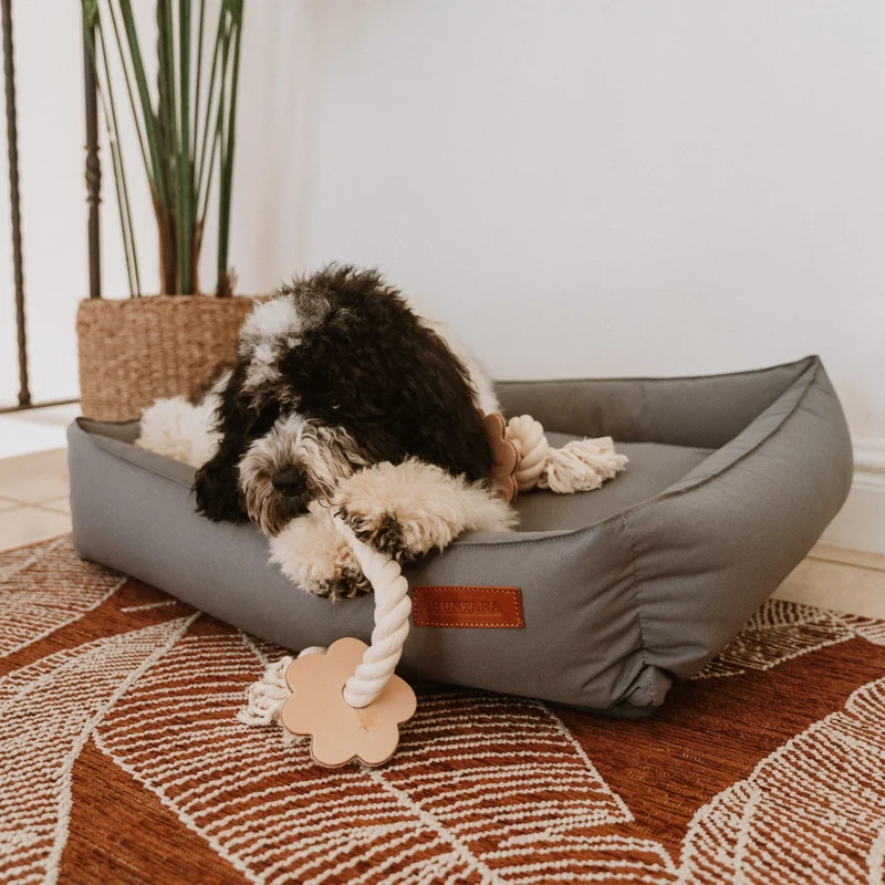 Huntlea Rope 2 Knot with Paw Leather Dog Toy - LARGE