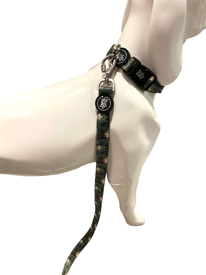 Bud & Billy Dog Strong & Durable Leash - Lightweight, 1.8 Meters (XS-L) Safari Collection, Lush Green Palette