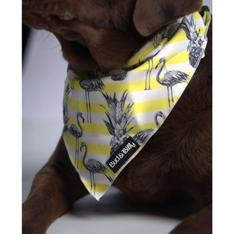 Bud & Billy Dog Bandana Handkerchiefs and Scarves (S, M, L) - Flamingo Collection, Yellow & White Stripes