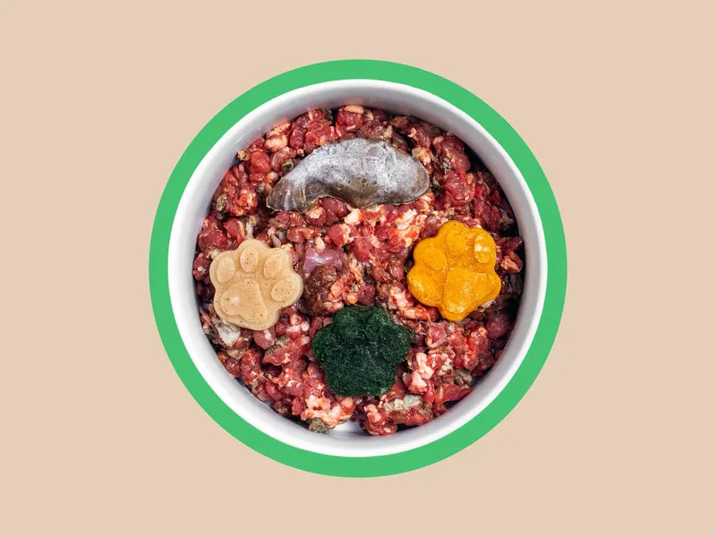 The K9 Kitchen Lamb Raw Complete Dog Food
