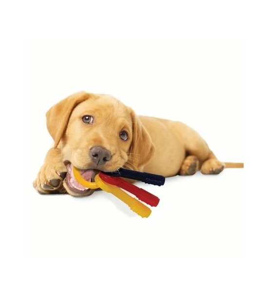 Nylabone Teething Keys Chewy Toy for Puppies
