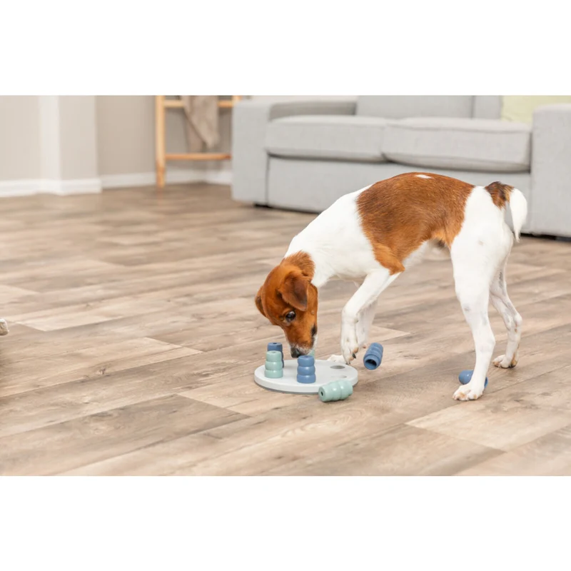 Dog Activity Strategiespiel Mini Solitär für Hunde