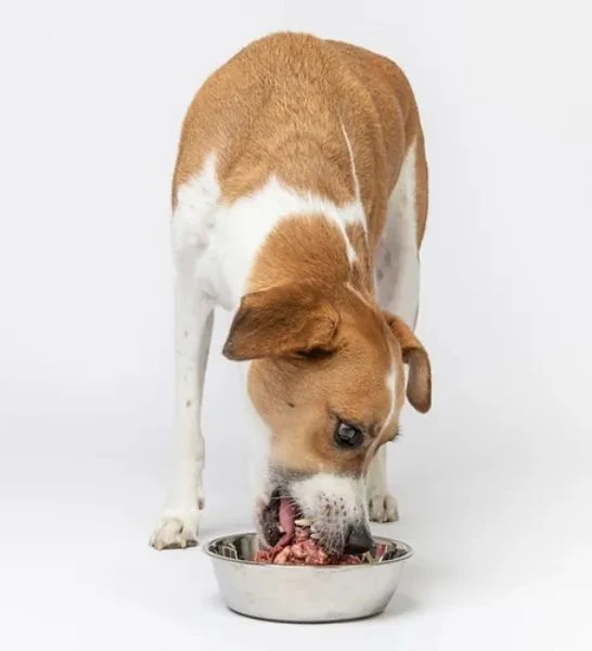 The K9 Kitchen Beef & Lamb Raw Complete Dog Food