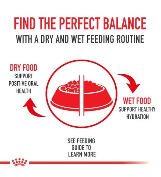 Royal Canin Light Weight Care Adult Dry Cat Food