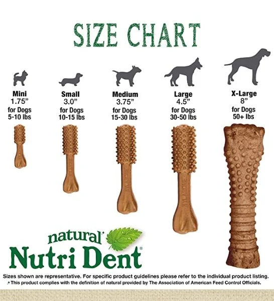 Nylabone Nutri Dent Filet Mignon Dental Dog Chews