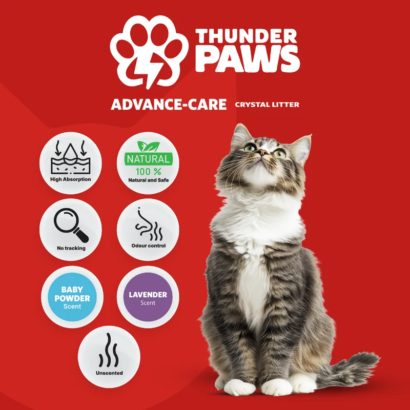 Thunder Paws Advance Care Non-Clumping Unscented Crystal Cat Litter 10L - Pack of 3