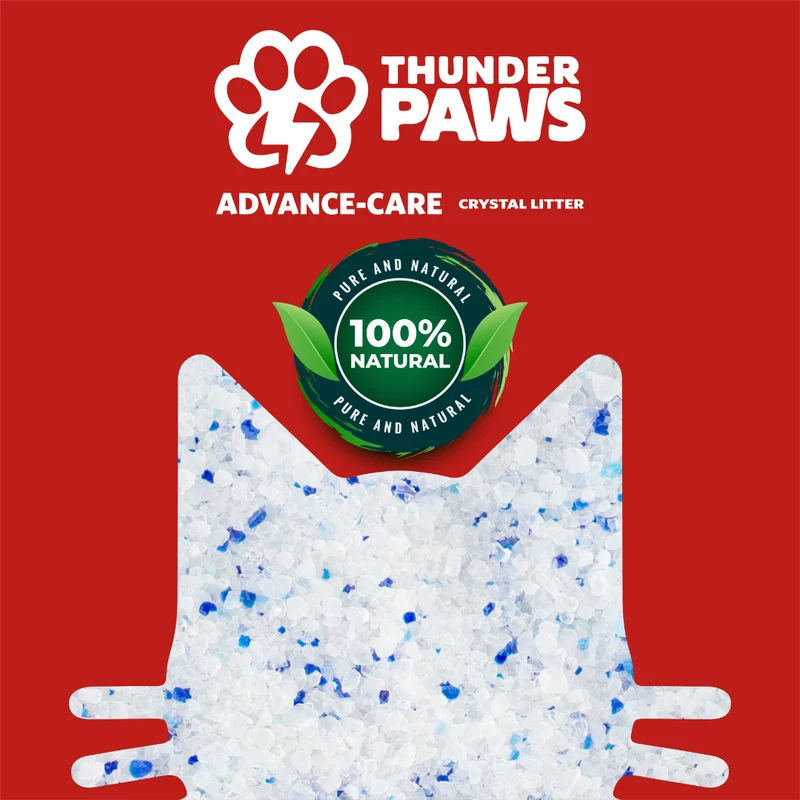 Thunder Paws Advance Care Non-Clumping Crystal Cat Litter Unscented 5+1 Liter FREE - Pack of 3