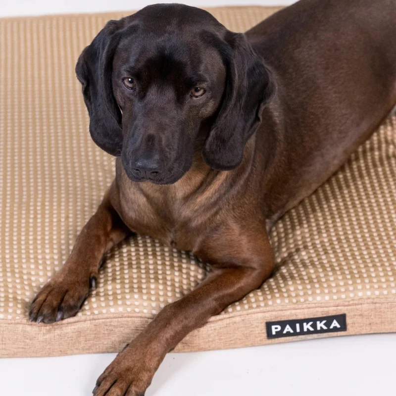 PAIKKA Cooling Orthopedic Dog Mattress With Memory Foam