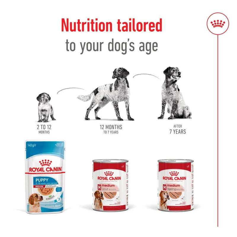 Royal Canin Medium In Loaf Adult Wet Dog Food In Can 410G