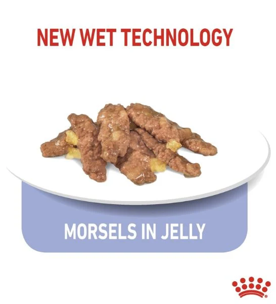 Royal Canin Indoor Sterilised In Jelly Adult Cat Wet Food - Pack of 12