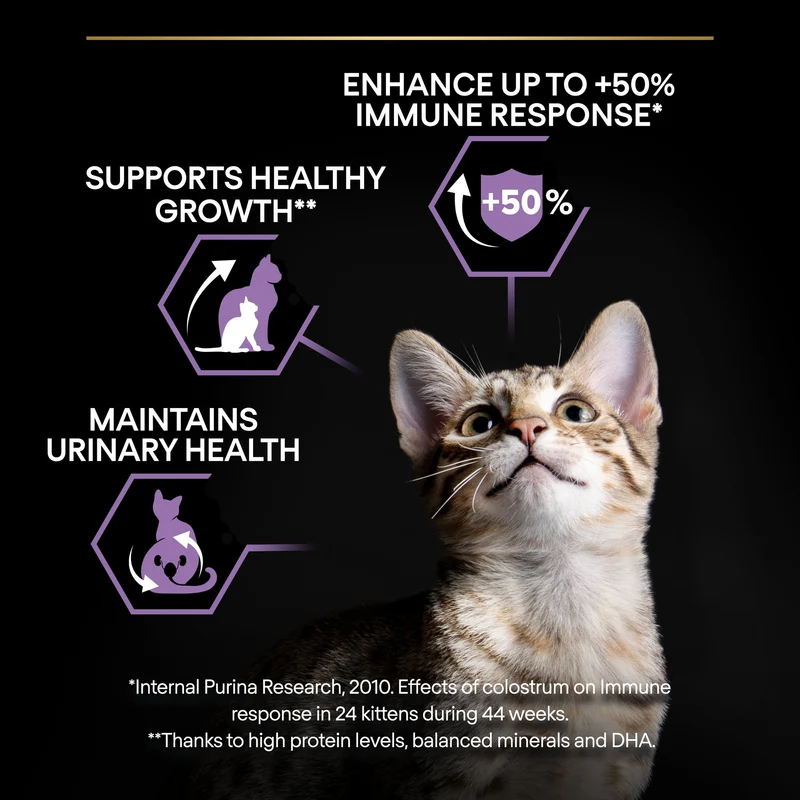 PURINA Pro Plan Sterilised Kitten Healthy Start Salmon Dry Cat Food 1.5KG