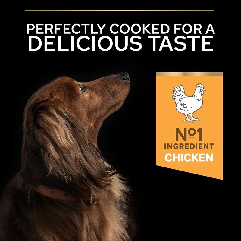 PURINA Pro Plan Small&Mini Adult Everyday Nutrition Chicken Adult Dry Dog Food 7KG