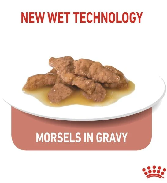Royal Canin Indoor Sterilised In Gravy Cat Wet Food 85G - Pack of 12