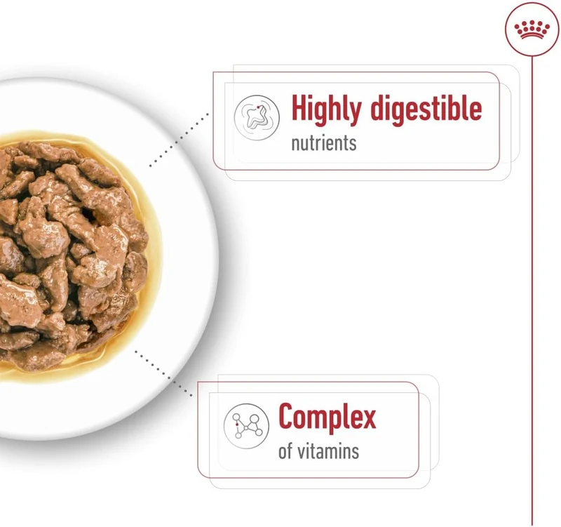Royal Canin Mini Adult In Gravy-Salsa Wet Dog Food 85G - Pack of 12