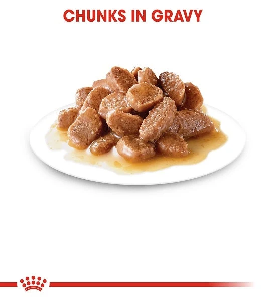 Royal Canin Instinctive In Gravy Adult Wet Cat Food 85G - Pack of 12