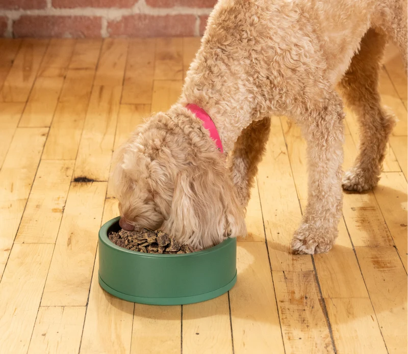 Open Farm Air Dried Harvest Chicken Recipe Dry Dog Food