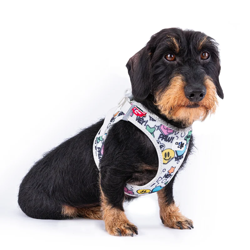 Curli Small Dog Vest Harness Clasp Air-Mesh Comic LE25