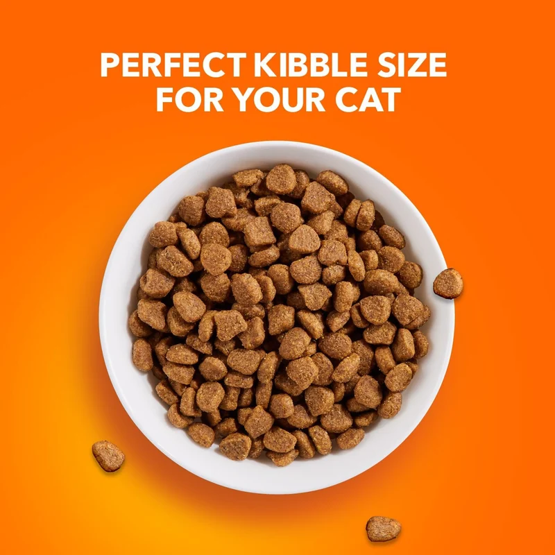 IAMS Proactive Health - Healthy Adult With Chicken Dry Cat Food