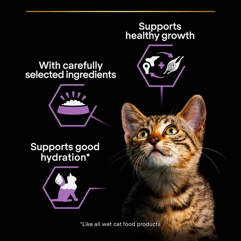 Purina Pro Plan Kitten Healthy Start Chicken Mousse Wet Cat Food 85G