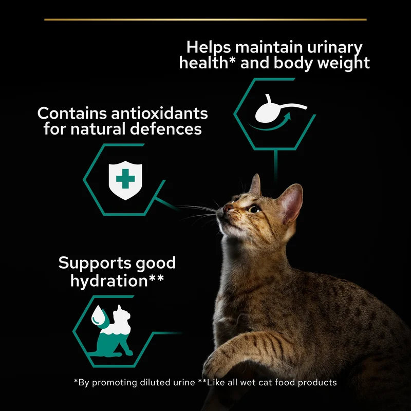 PURINA Pro Plan Sterilised Chicken In Gravy Multipack Adult Wet Cat Food 10X85G