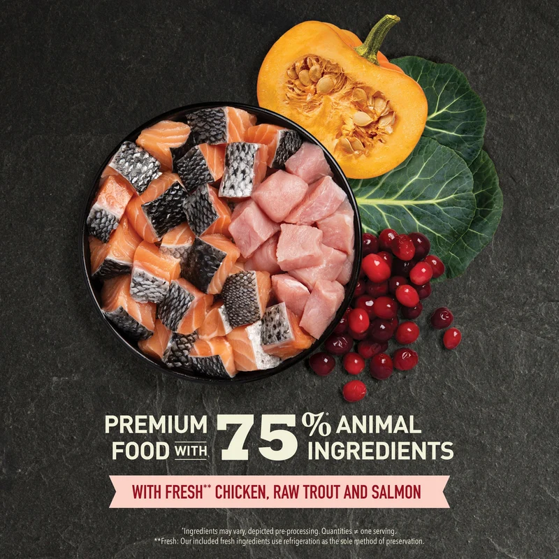 Acana Highest Protein Indoor Adult Dry Cat Food