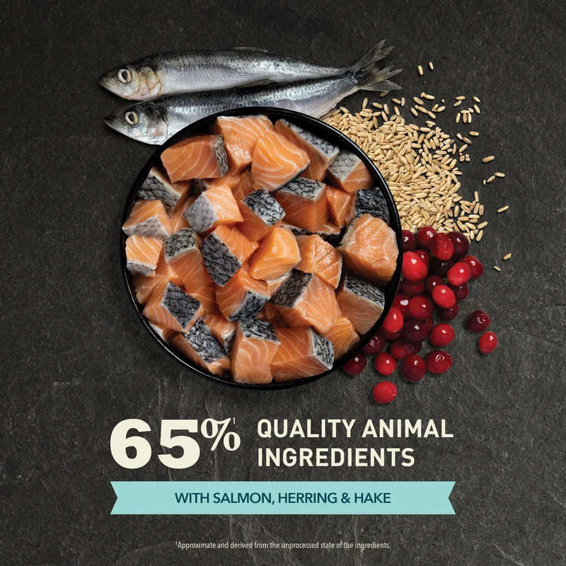 Acana Bountiful Catch Salmon With Whole Herring Adult Dry Cat Food