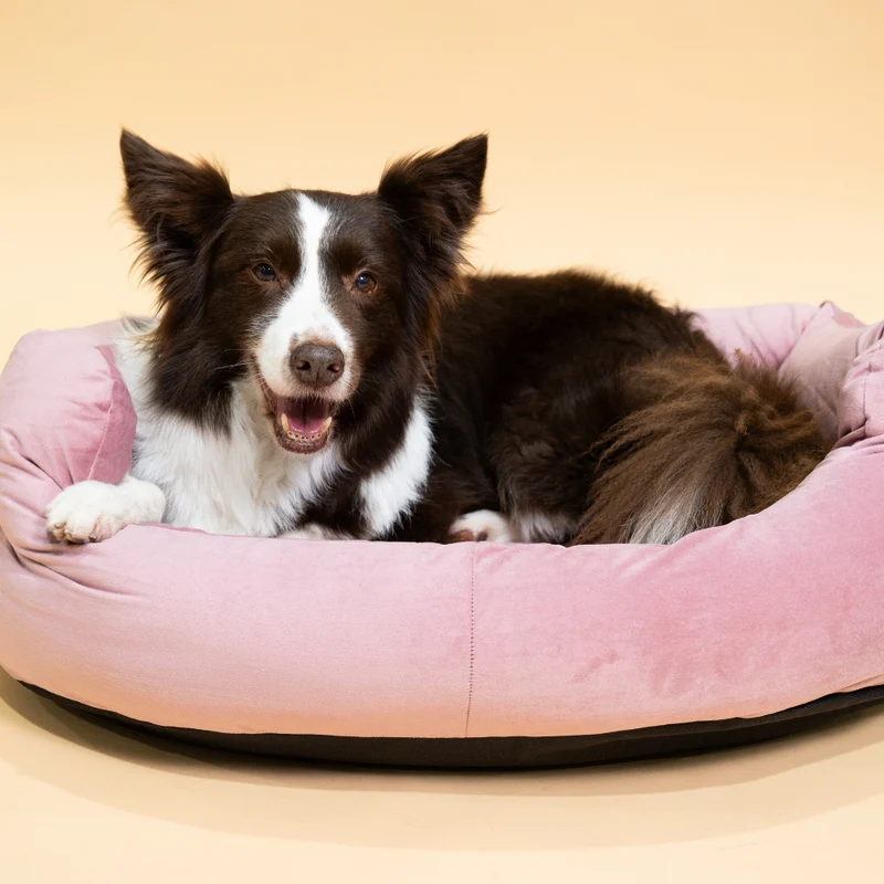 Regalia Velvet Deluxe Slumber Non-Slip Dog Bed - Rose/76cm