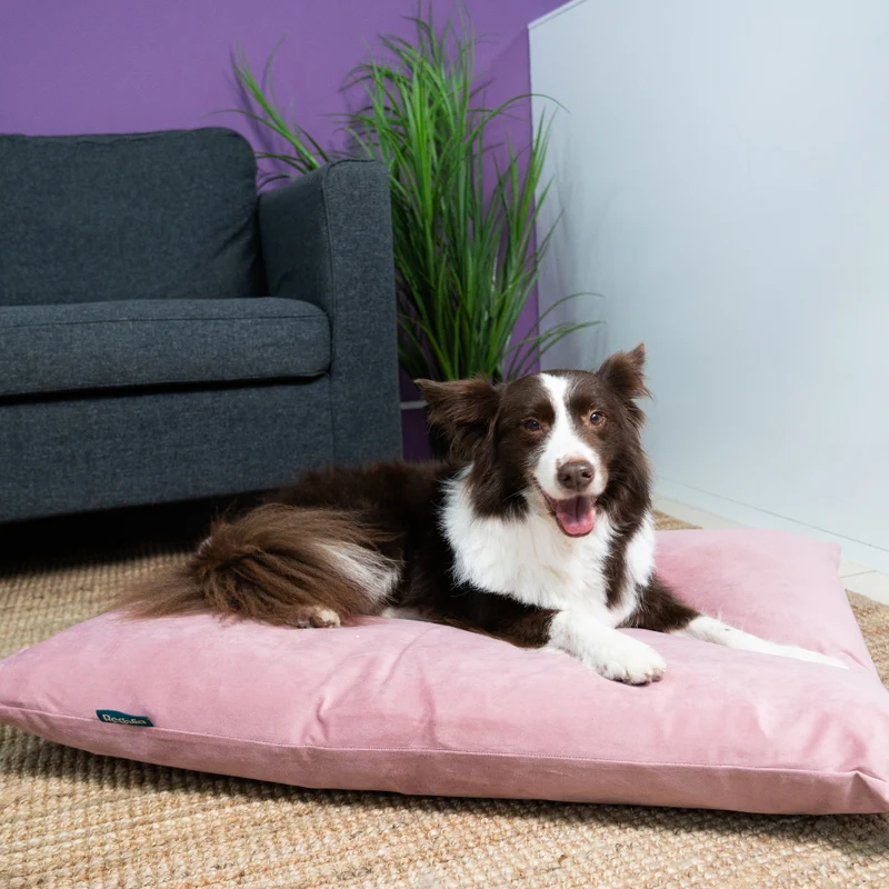 Regalia Velvet Deep Duvet Non-Slip Dog Bed - Rose/Medium