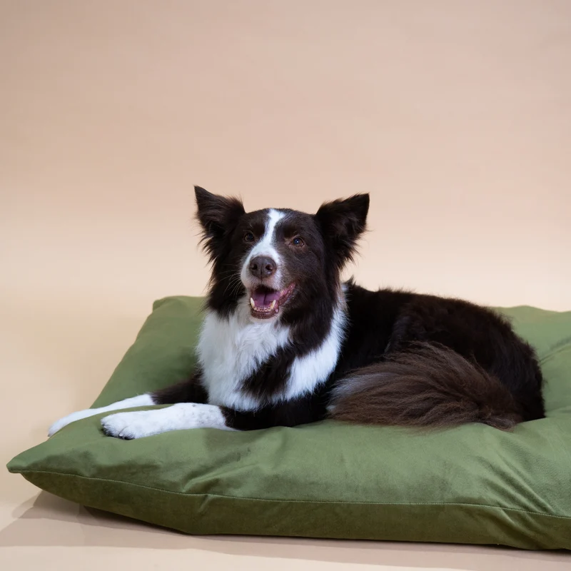 Regalia Velvet Deep Duvet Non-Slip Dog Bed - Green/Large