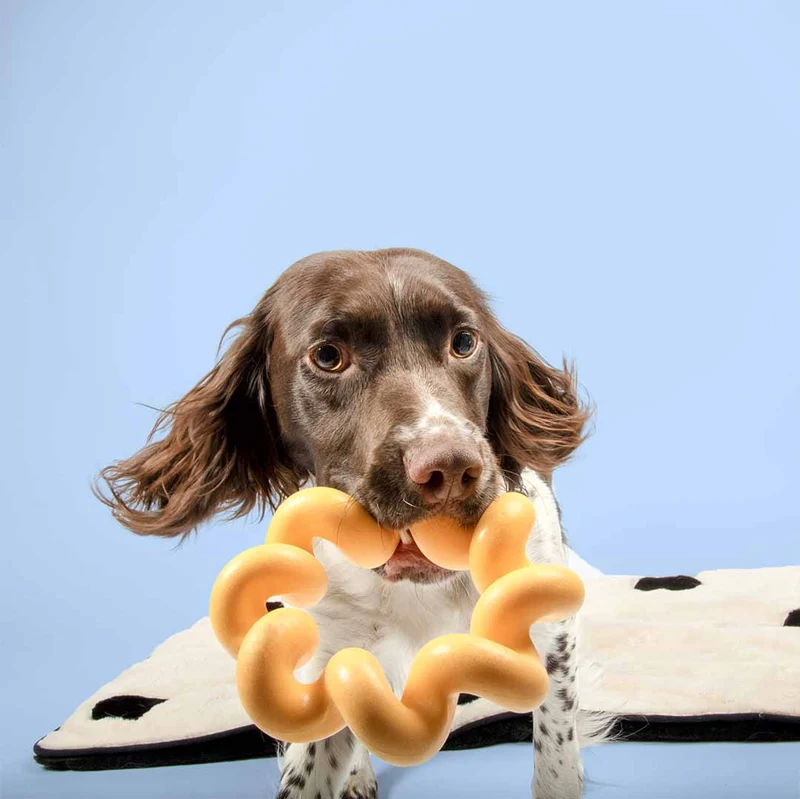 Ebi Coockoo Sunny Flexible TPR Dog Chew & Fetch Toy - Yellow/16.5x4.5cm
