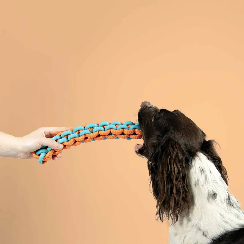 Ebi Coockoo Twisting Tugger Dog Tug & Chew Toy - Blue & Orange/45x4.5cm