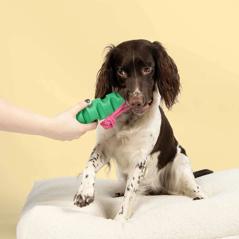 Ebi Coockoo Groovy Grip Dog Tug & Chew Toy - Green/40x5.7cm