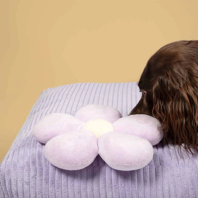 Ebi Coockoo Fun Flower Plush Dog Squeaker Toy - Purple/23x21x5cm