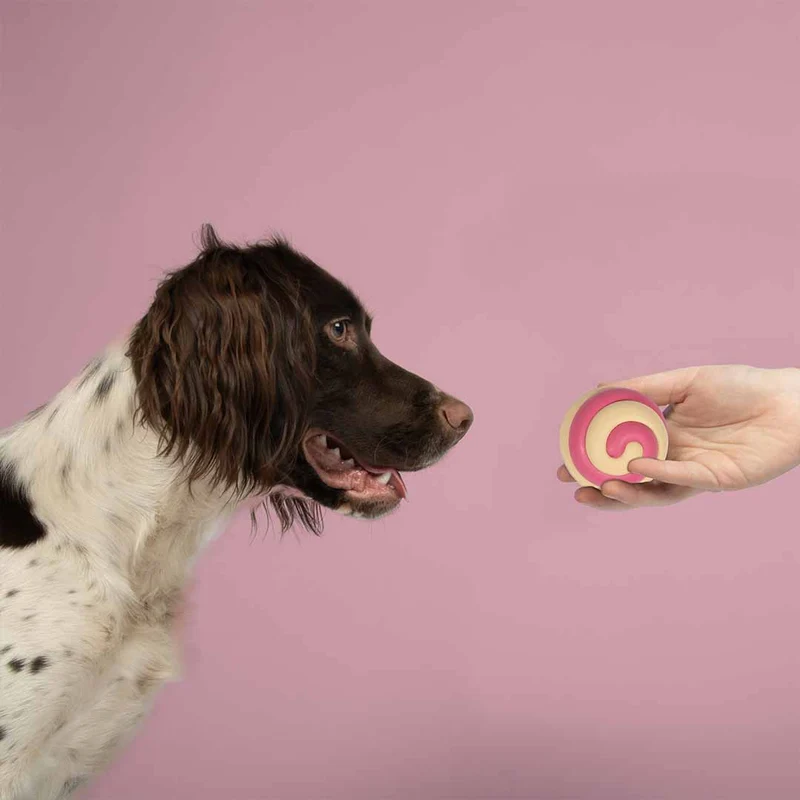 Ebi Coockoo Berry Swirl Strong Rubber Ball Dog Toy - PINK&BEIGE/7.5CM