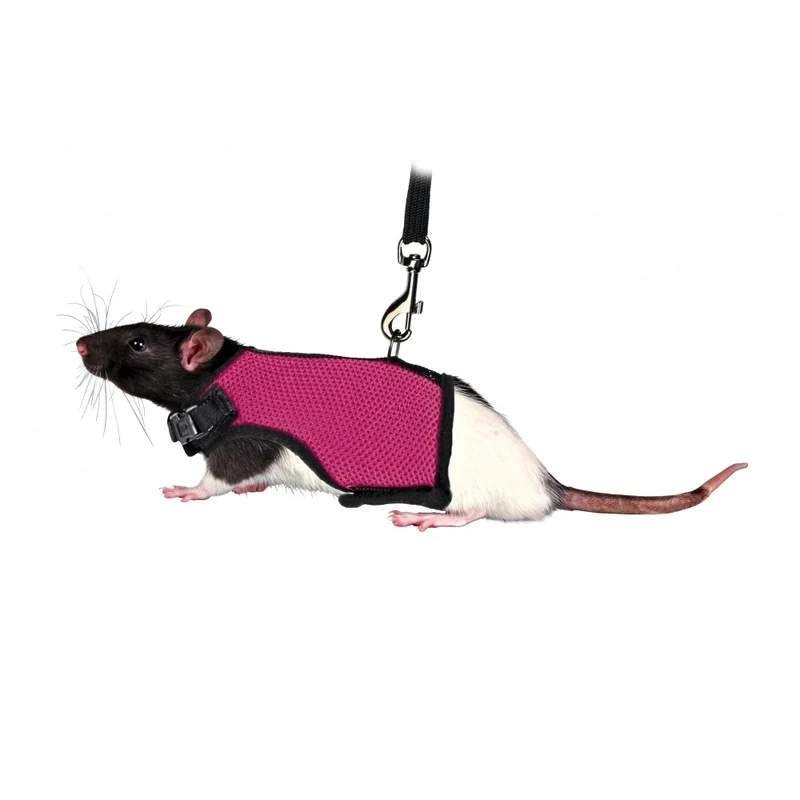 Softgeschirr mit Leine für Ratten
