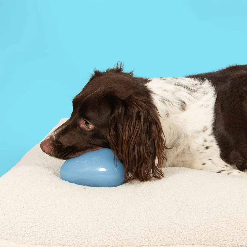 Ebi Coockoo Happy Cloud With Squeaker Dog Toy - Blue/13x10x6cm