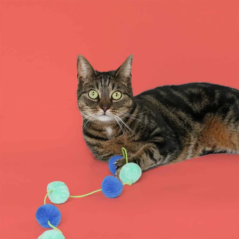 Ebi Coockoo Jolly Jumper Cat Wand Chase Toy - Blue & Green/40x4x4cm
