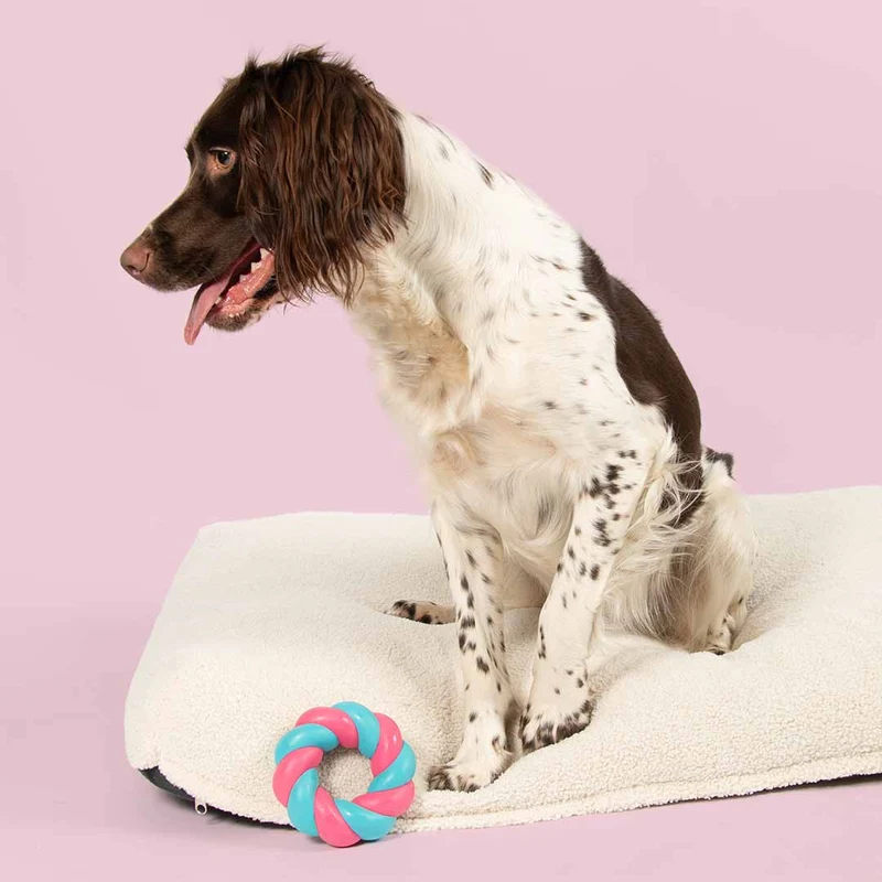 Ebi Coockoo Mallow Ring Strong Rubber Dog Chew & Fetch Toy - Pink & Blue/11x3.7cm
