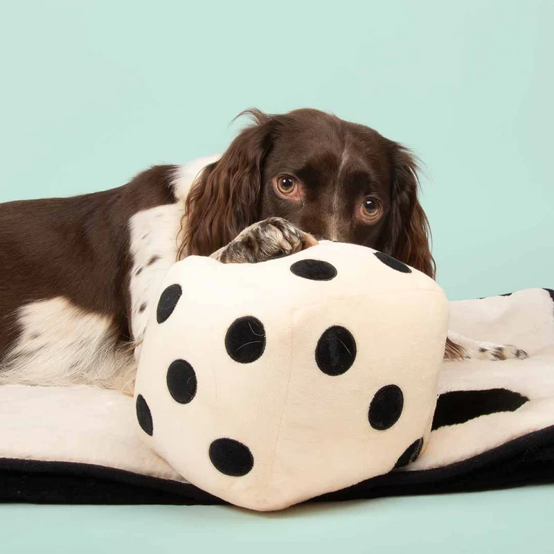 Ebi Coockoo Roll The Dice Plush Dog Squeaker Toy - White/16x16x16cm