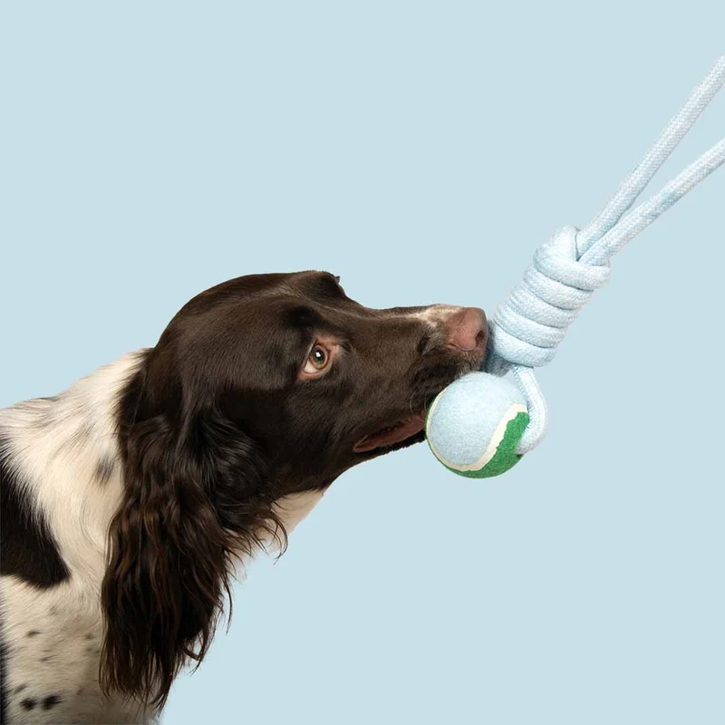 Ebi Coockoo Catch Me Ball With Rope Loop Dog Fetch Toy - Blue/6x45x6cm